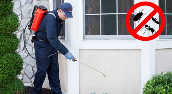 Balıkesir Hamam Böceği İlaçlama böcek ilaçlama ve haşere kontrolü — ilaclama-tr.com